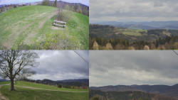 Sdružený snímek Bludný