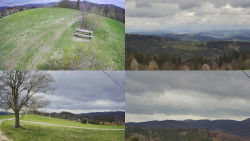 Sdružený snímek Bludný