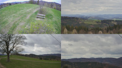 Sdružený snímek Bludný