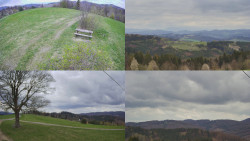 Sdružený snímek Bludný