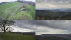 Sdružený snímek Bludný