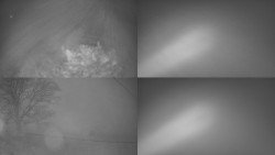 Sdružený snímek Bludný