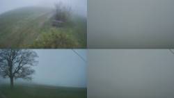 Sdružený snímek Bludný