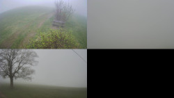 Sdružený snímek Bludný