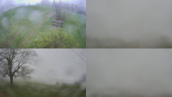 Sdružený snímek Bludný