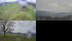 Sdružený snímek Bludný