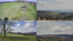 Sdružený snímek Bludný