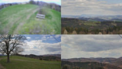 Sdružený snímek Bludný