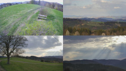 Sdružený snímek Bludný