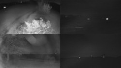 Sdružený snímek Bludný