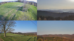 Sdružený snímek Bludný