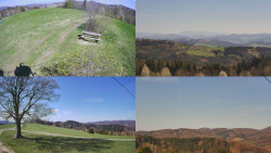 Sdružený snímek Bludný