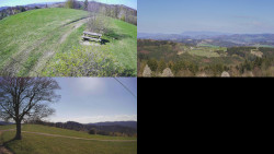 Sdružený snímek Bludný