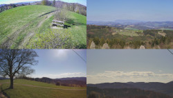 Sdružený snímek Bludný