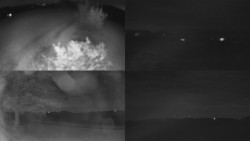 Sdružený snímek Bludný