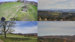 Sdružený snímek Bludný