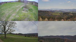 Sdružený snímek Bludný