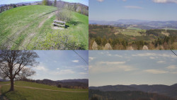 Sdružený snímek Bludný