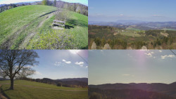 Sdružený snímek Bludný