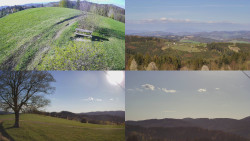 Sdružený snímek Bludný