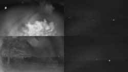 Sdružený snímek Bludný