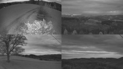 Sdružený snímek Bludný