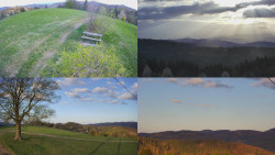 Sdružený snímek Bludný