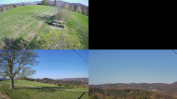 Sdružený snímek Bludný