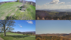 Sdružený snímek Bludný