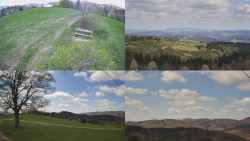 Sdružený snímek Bludný