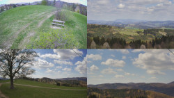 Sdružený snímek Bludný