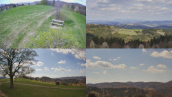 Sdružený snímek Bludný