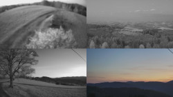 Sdružený snímek Bludný