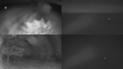 Sdružený snímek Bludný