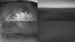 Sdružený snímek Bludný