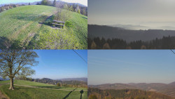 Sdružený snímek Bludný