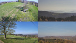 Sdružený snímek Bludný