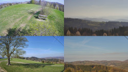 Sdružený snímek Bludný