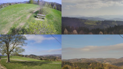 Sdružený snímek Bludný