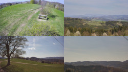 Sdružený snímek Bludný