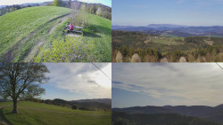 Sdružený snímek Bludný