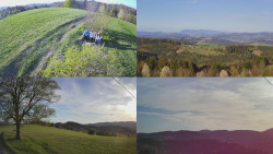 Sdružený snímek Bludný