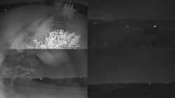 Sdružený snímek Bludný