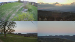 Sdružený snímek Bludný