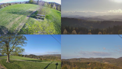 Sdružený snímek Bludný