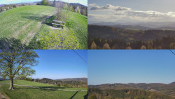 Sdružený snímek Bludný