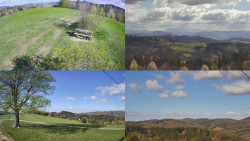 Sdružený snímek Bludný