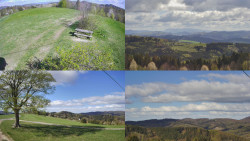 Sdružený snímek Bludný