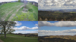 Sdružený snímek Bludný