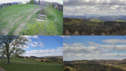 Sdružený snímek Bludný